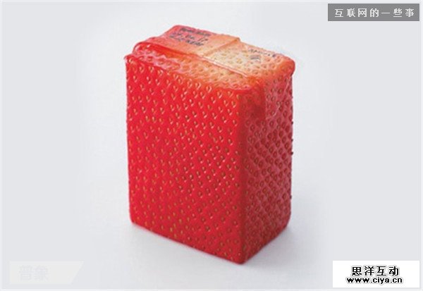 仿生设计：来自大自然的创意,互联网的一些事