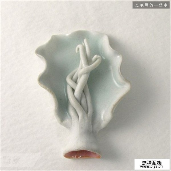 仿生设计：来自大自然的创意,互联网的一些事