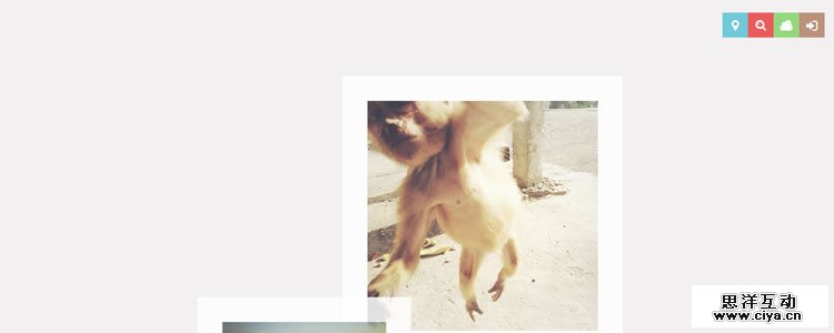 minimal_48