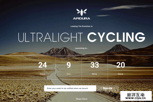 Apidura