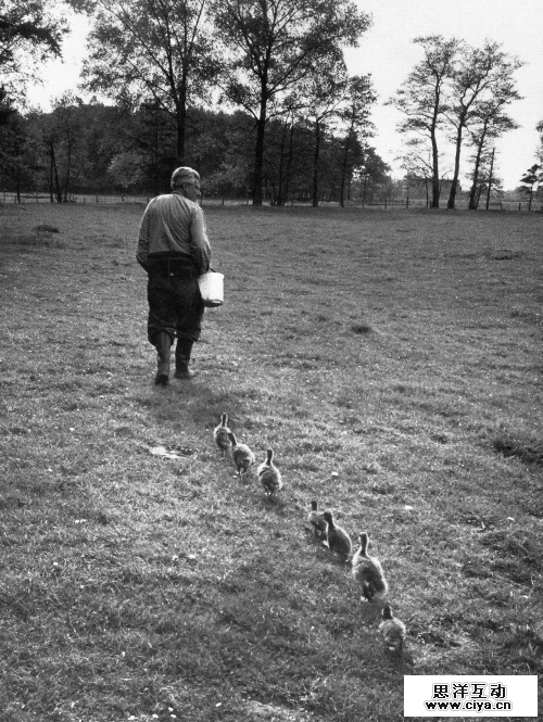 如何从AV封面中学习平面设计？