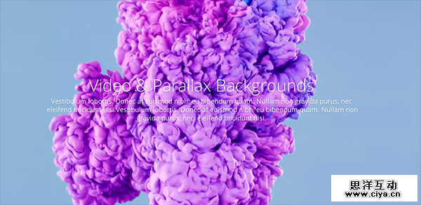 design-trends-2015-large-images-videos