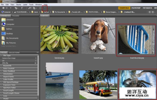 简单好用！手把手教你掌握Photoshop的联系表工具