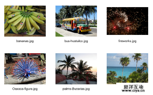 contact_sheet_modified