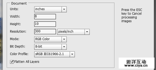 简单好用！手把手教你掌握Photoshop的联系表工具