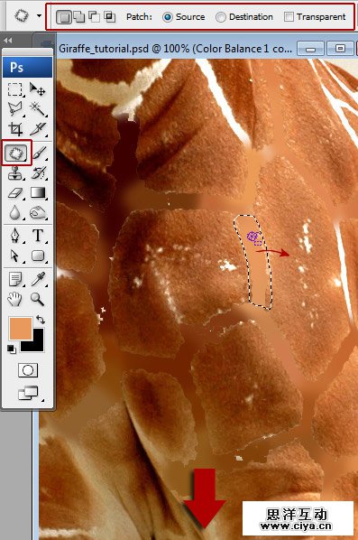 酷炫PS教程！教你用PS合成长颈鹿熨烫衣服的趣味海报