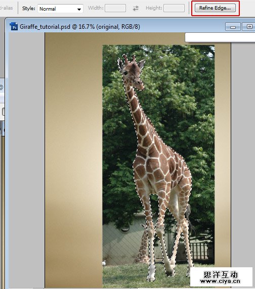 酷炫PS教程！教你用PS合成长颈鹿熨烫衣服的趣味海报