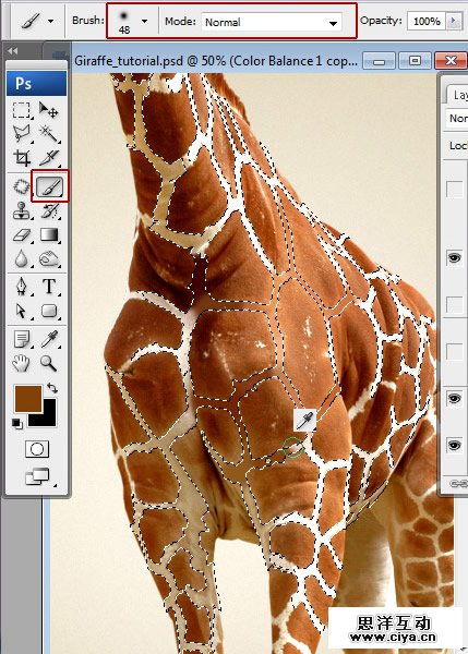 酷炫PS教程！教你用PS合成长颈鹿熨烫衣服的趣味海报
