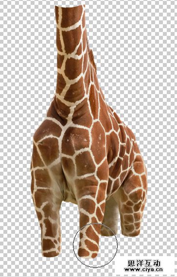 酷炫PS教程！教你用PS合成长颈鹿熨烫衣服的趣味海报