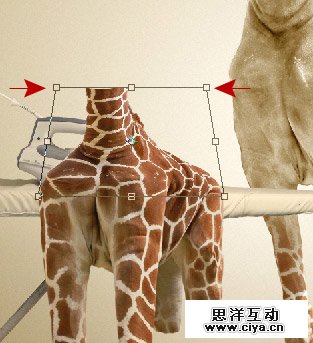 酷炫PS教程！教你用PS合成长颈鹿熨烫衣服的趣味海报