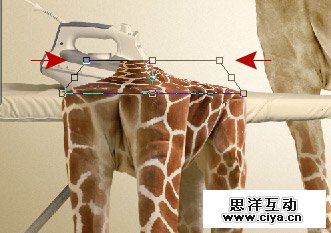 酷炫PS教程！教你用PS合成长颈鹿熨烫衣服的趣味海报