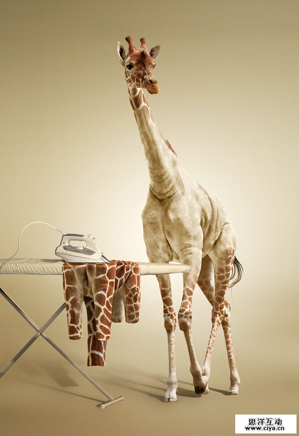 酷炫PS教程！教你用PS合成长颈鹿熨烫衣服的趣味海报