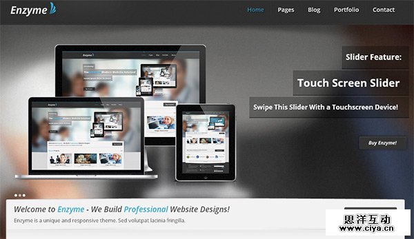 Enzyme in 23 Free HTML Templates