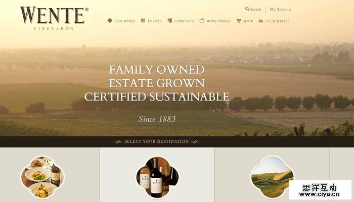 04-wente-vineyards-clean-photograph