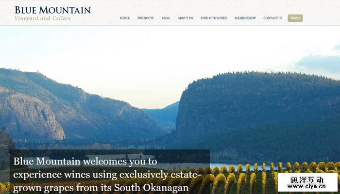 06-blue-mountain-vineyard-cellar-website