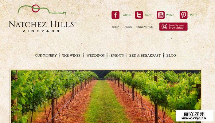 12-natchez-hills-vineyard-grunge-design