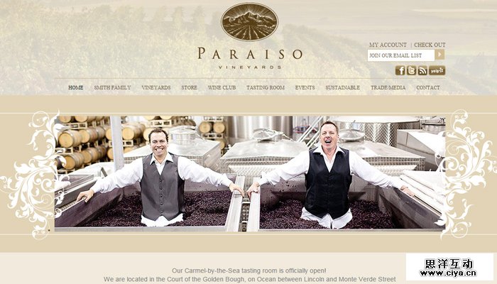 18-paraiso-vineyards-homepage-golden-layout