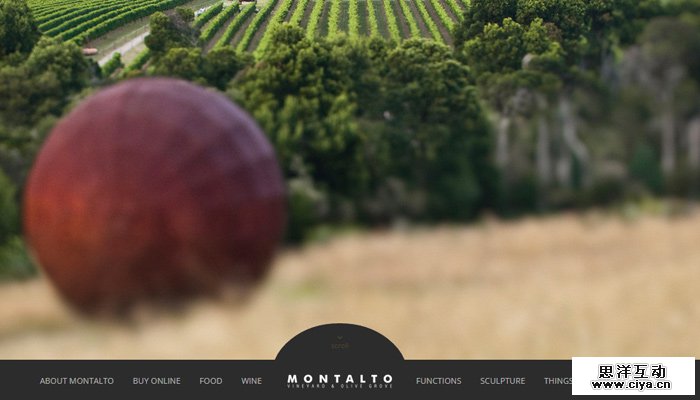 27-montalto-vineyard-olive-grove-website