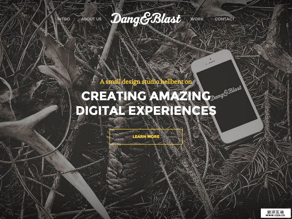 dang and blast hybrid site