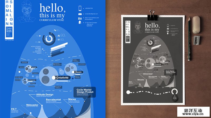 18-my-curriculum-vitae-by-romain-sillon