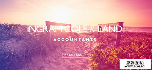 立竿见影！掌握单页网站设计的5大技巧