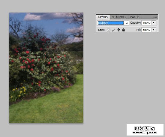 PS教程！教你用PS创建梦幻的“爱丽丝梦游仙境”主题照片