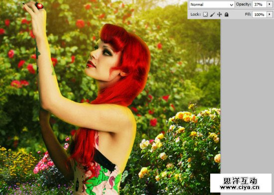 PS教程！教你用PS创建梦幻的“爱丽丝梦游仙境”主题照片