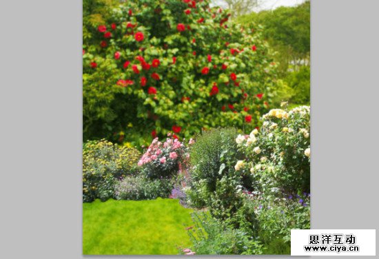 PS教程！教你用PS创建梦幻的“爱丽丝梦游仙境”主题照片