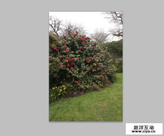 PS教程！教你用PS创建梦幻的“爱丽丝梦游仙境”主题照片