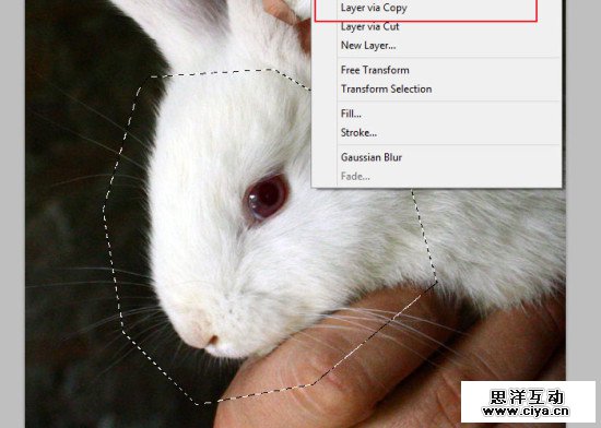 PS教程！教你用PS创建梦幻的“爱丽丝梦游仙境”主题照片