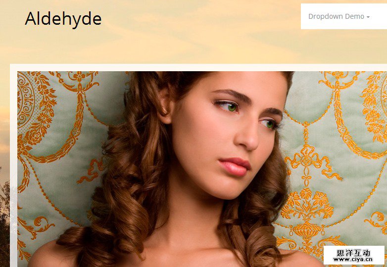 Aldehyde WP theme