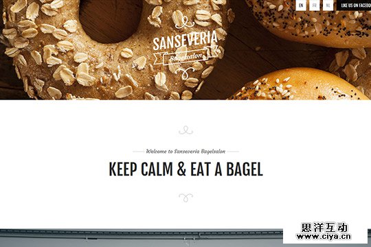 Creative Single Page Website Design