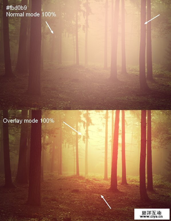 PS教程！教你快速调出优美的晨光和暮色效果