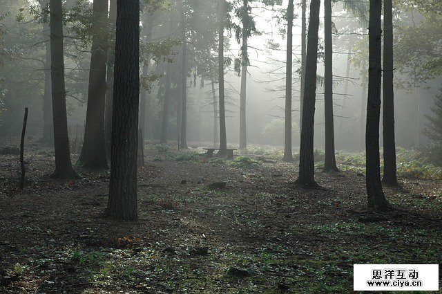 PS教程！教你快速调出优美的晨光和暮色效果