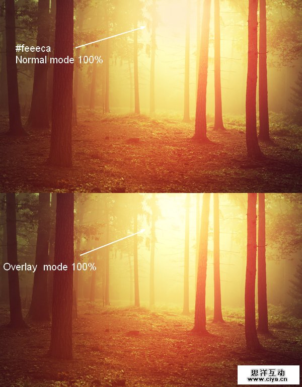 PS教程！教你快速调出优美的晨光和暮色效果