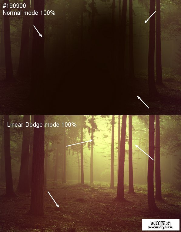 PS教程！教你快速调出优美的晨光和暮色效果