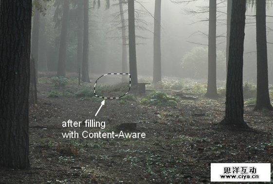 PS教程！教你快速调出优美的晨光和暮色效果