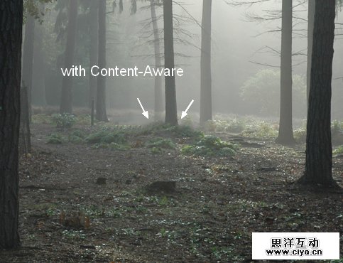 PS教程！教你快速调出优美的晨光和暮色效果