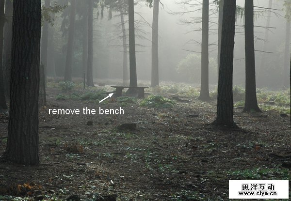 PS教程！教你快速调出优美的晨光和暮色效果