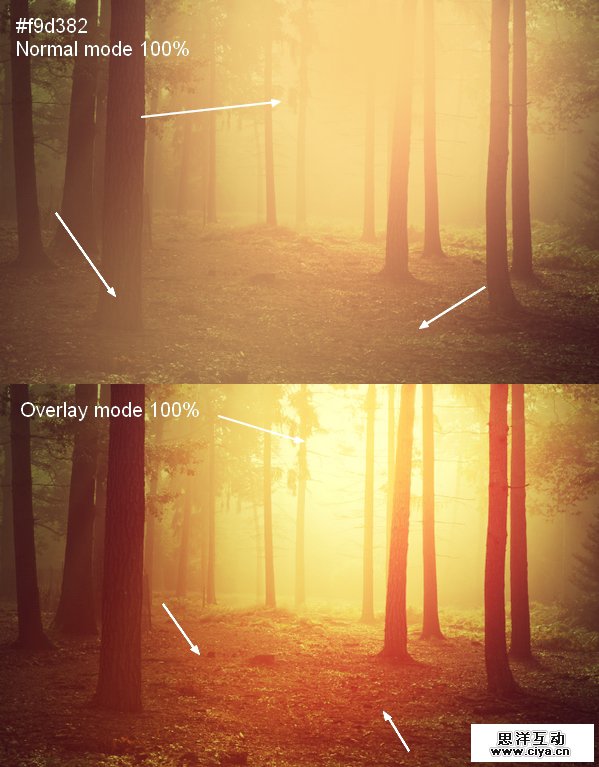 PS教程！教你快速调出优美的晨光和暮色效果