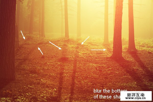 PS教程！教你快速调出优美的晨光和暮色效果