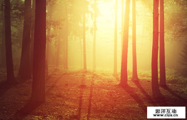 PS教程！教你快速调出优美的晨光和暮色效果