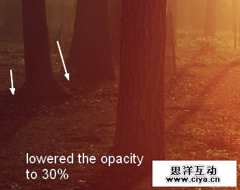 PS教程！教你快速调出优美的晨光和暮色效果