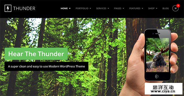 Thunder in 30 Fresh and Free PSD Website Templates