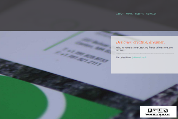 steve czechk portfolio website design