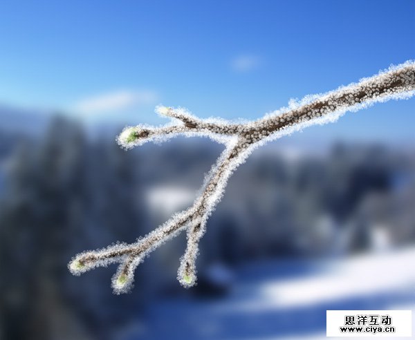 paint-water-3-3-white-frost-14