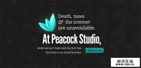 Peacock Studio