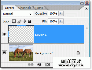 Adobe Photoshop photo editing tutorial image