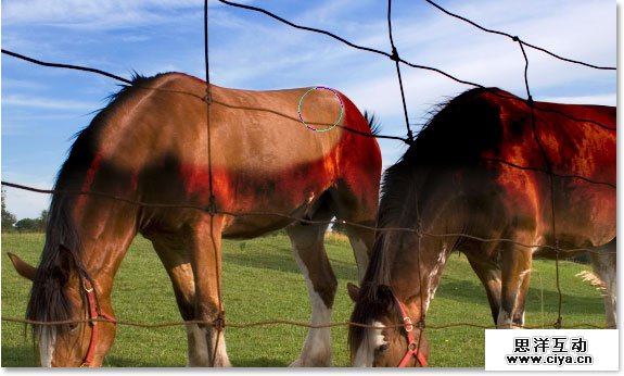 Adobe Photoshop photo editing and photo retouching tutorial image