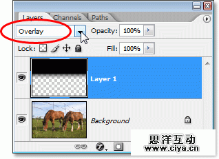 Adobe Photoshop photo editing and photo retouching tutorial image